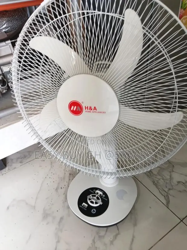 Elegant Cooling: H & a Stand Fan Collection · Photo 1