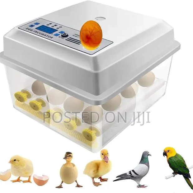 64 Eggs Incubators · Photo 1