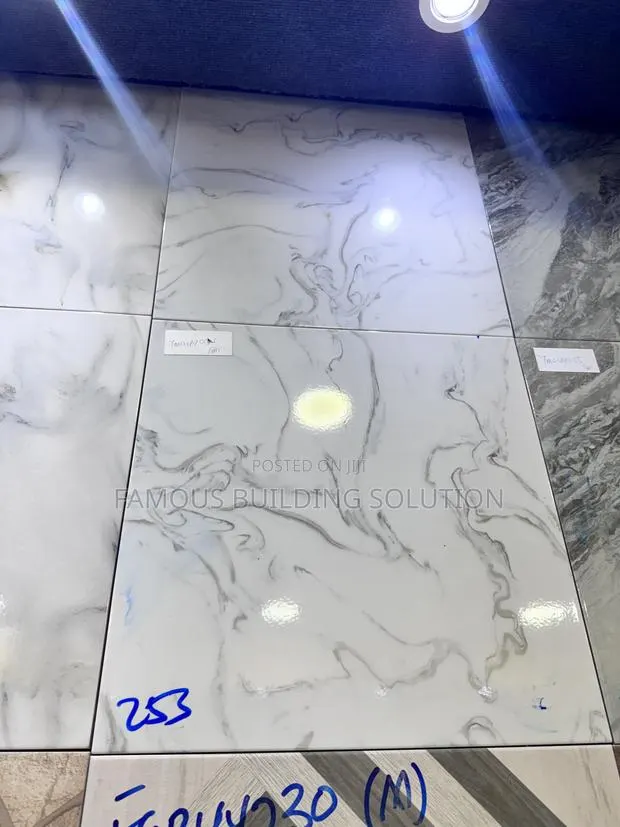 40/40 Polished Floor Tiles · Photo 1