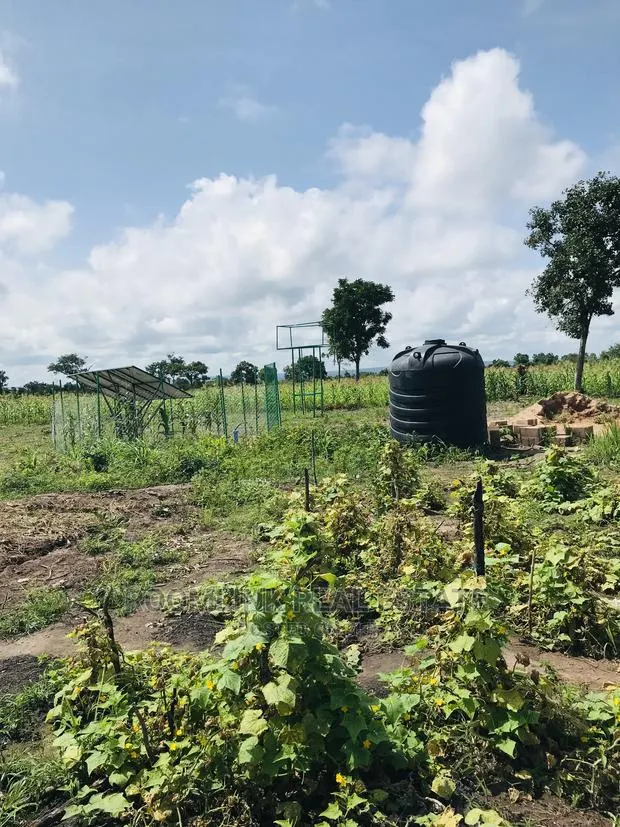 Affordable Farmlands at for Sale in Kintampo