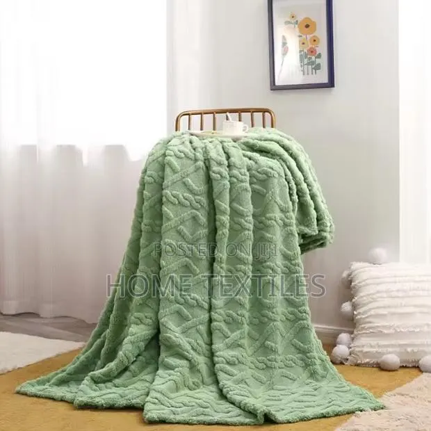 3 Pieces Blanket ( Blanket With 2 Pillowcases) Green and Other Colors · Photo 1
