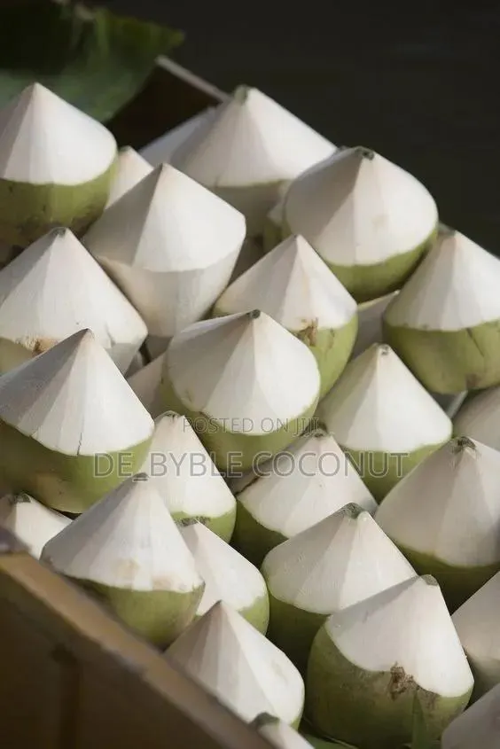 Fresh Coconut Delivery Service · Photo 1