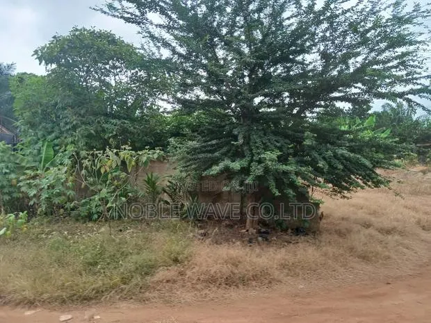 2plots of Land for Sale at Ahodwo Daban · Photo 1
