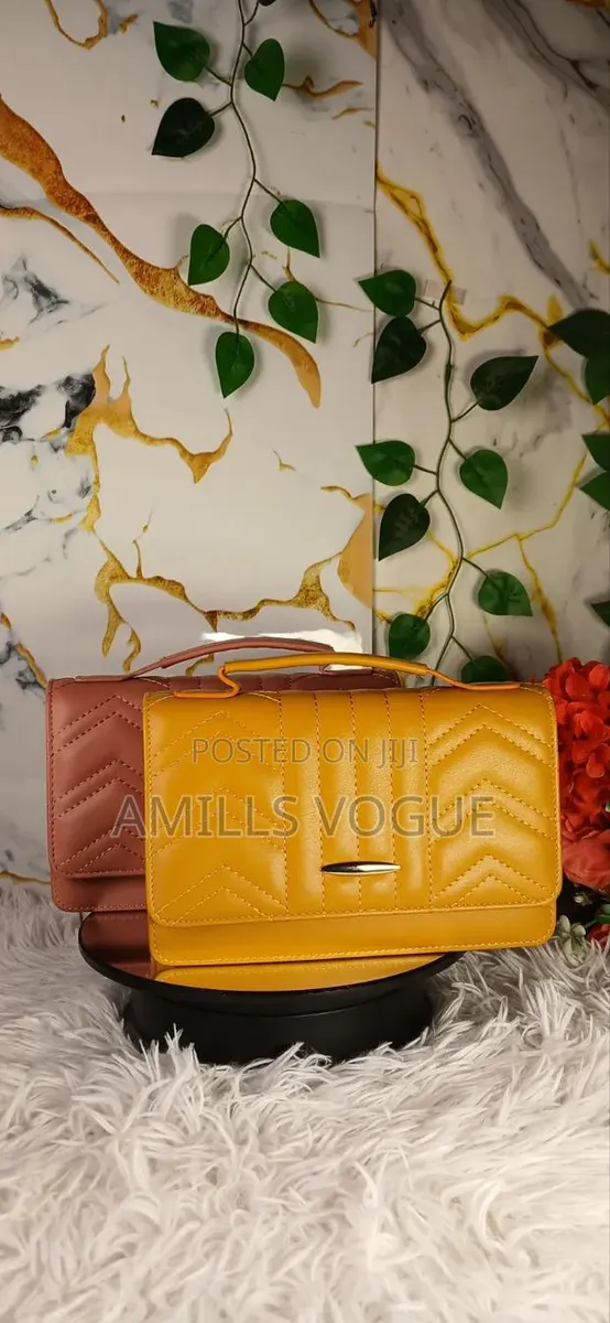 Ladies Bag · Photo 1