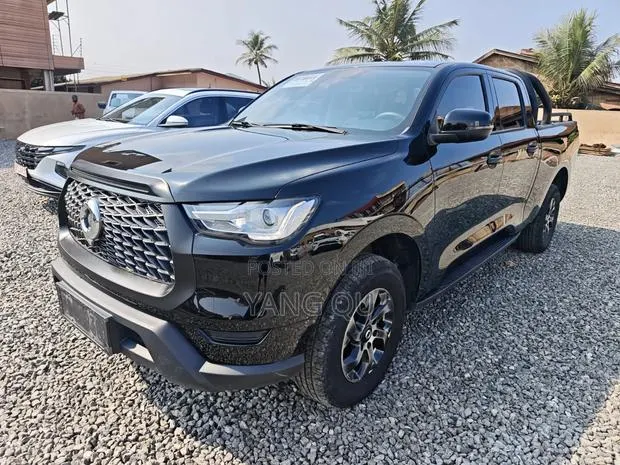 Great Wall King Kong Poer 2022 Black · Photo 1