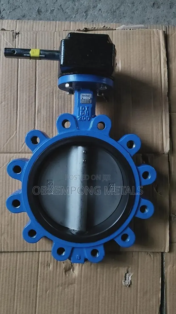8" Lug Butterfly Valve Stainless Tong Pn16 Gear Type · Photo 1
