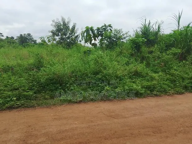 Roadside Plot at SYN YH Temakwataa · Photo 1