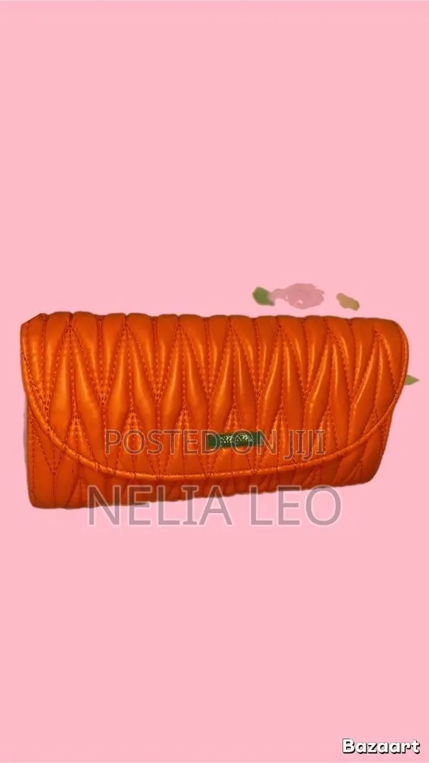Ladies Handbags · Photo 1