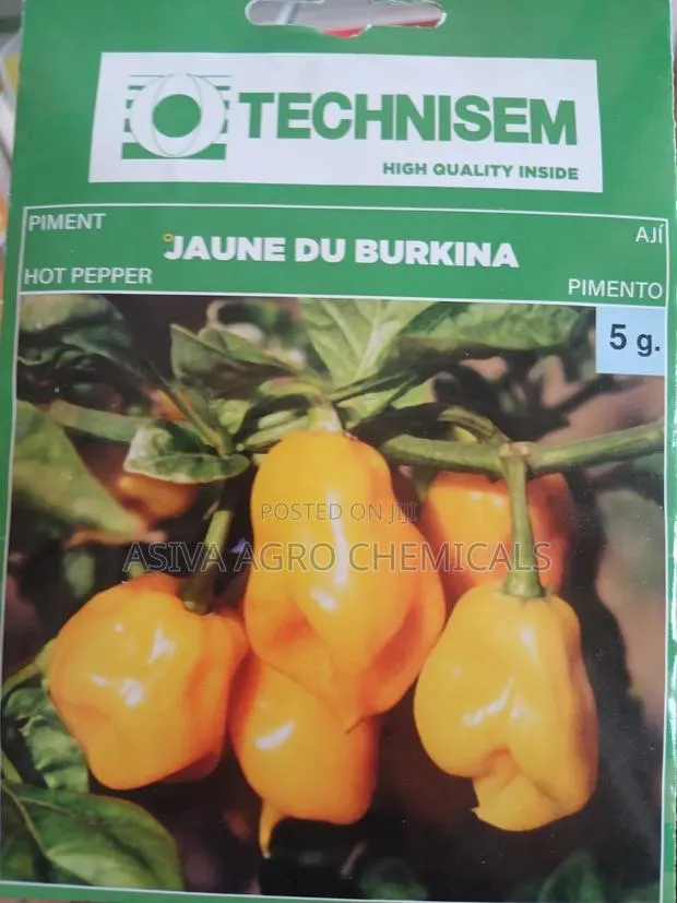 Yellow Habanero Pepper (Jaune Du Burkina)1gram Seeds · Photo 1