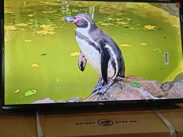 TCL 32-Inch Compact Tv With Bright Hd Display · Photo 1