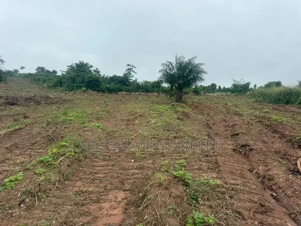 Land Available at Gontei · Photo 1