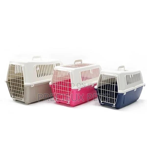 Plastic Crate For Toy Dogs · Photo 1