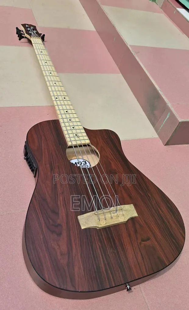 Emoj Semi Acoustic Bass Guitar · Photo 1