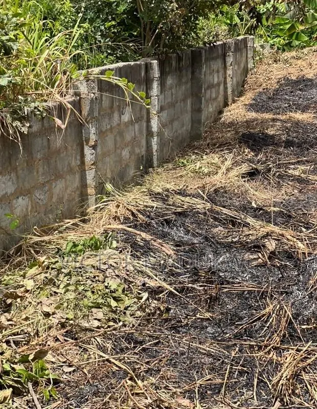 70x100ft Fenced Plot for Sale at Dodowa - Family Land · Photo 1