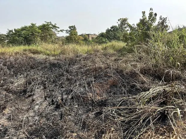 2 Plots for Sale at Sokoban ,Aboabo,Second Plot to Main Road · Photo 1