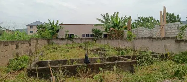 Half Plot of Land for Sale Dodowa · Photo 1