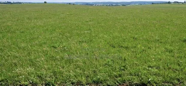 Plot for Sale at Bolga. Kalbeo Tindonsobligo · Photo 1