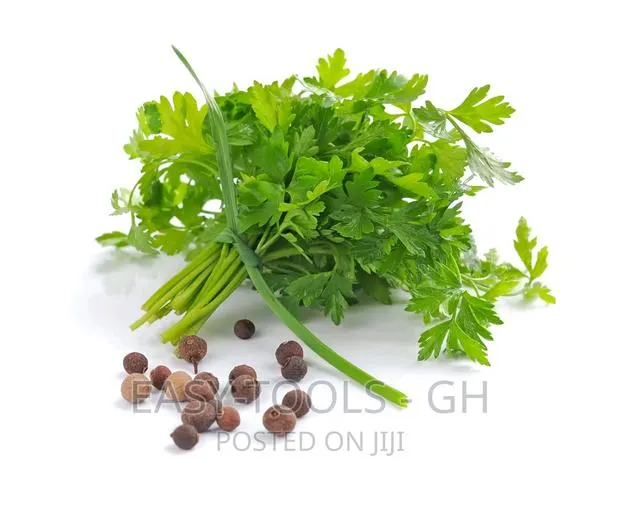 Parsley Dry Leaves _ (For Kidney and Others ) · Photo 1