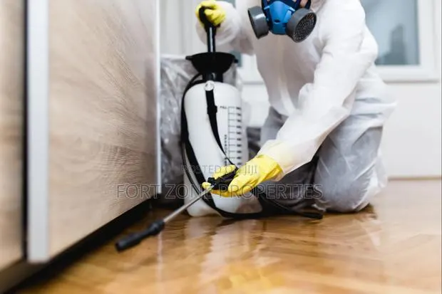 Pest Removal With Cleantex · Photo 1
