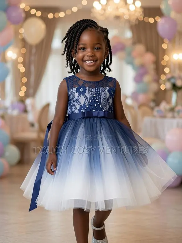 Navy Ombre Pearl Lace Tulle Party Dress - 4 Years · Photo 1