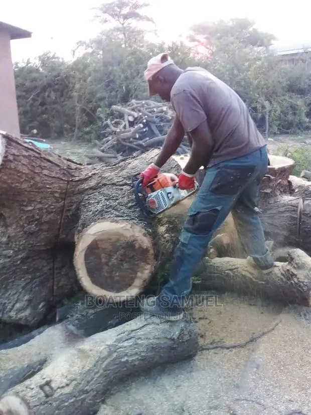 Tree Cutting Service · Photo 1