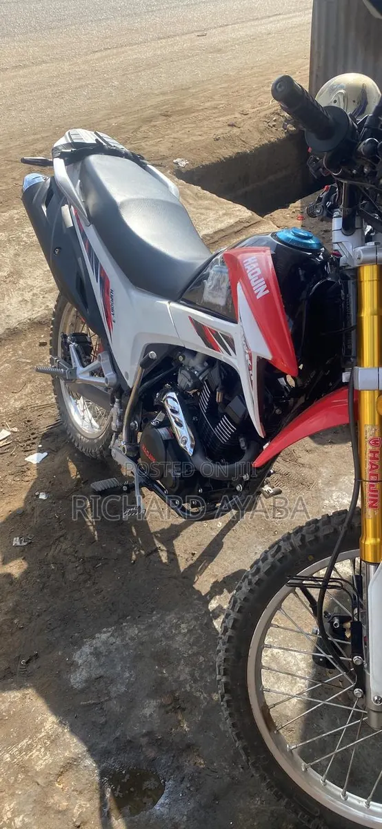 New Haojin Hawk HJ200GY-3 2026 White · Photo 1