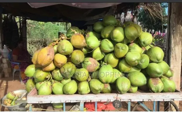 Fresh Coconut · Photo 1
