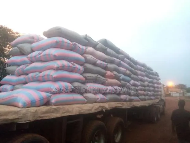 Both Yellow and White Maize Available in Large Quantities. · Photo 1