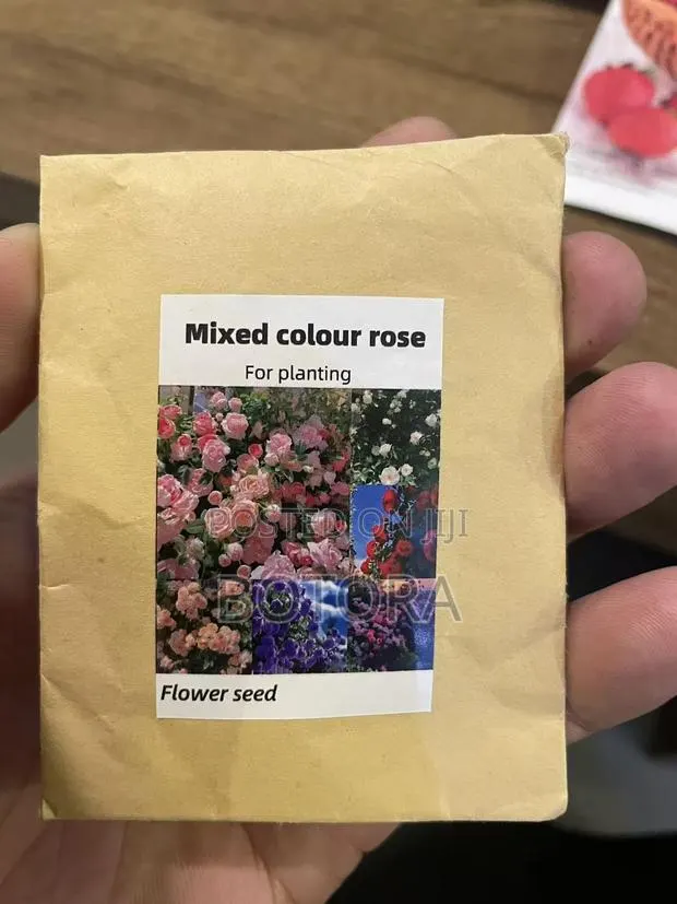 Climbing Rose Seeds for Planting – Beautiful Flowering Vine for Walls · Photo 1