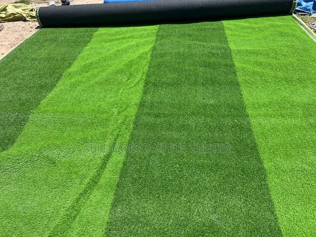 Two-Tone or Multi-Colored Artificial Grass · Photo 1