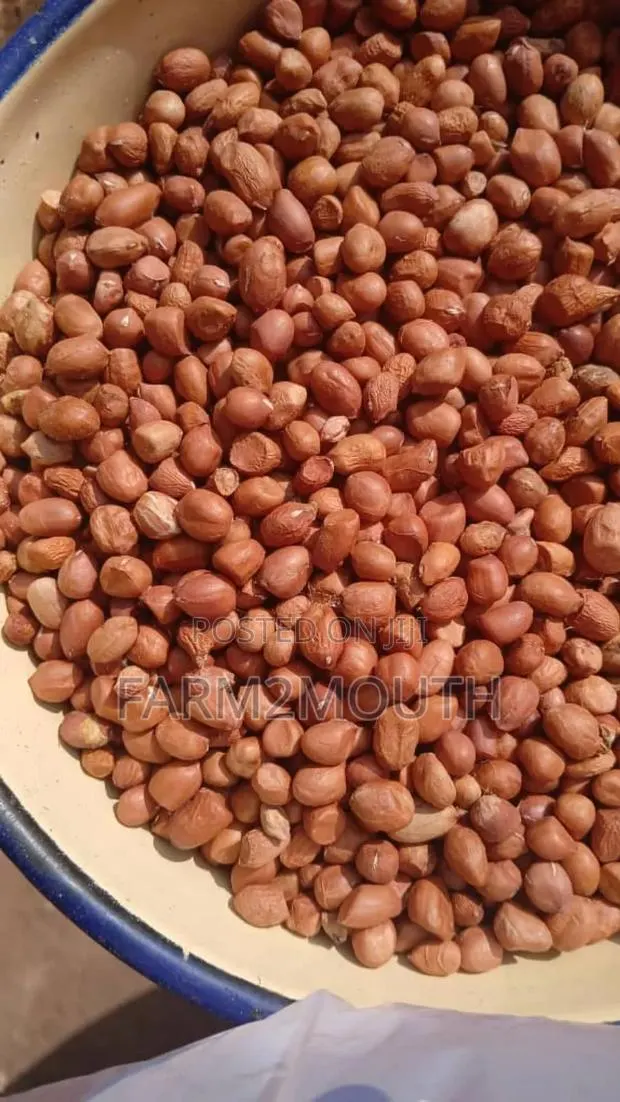 Groundnut or Peanut · Photo 1