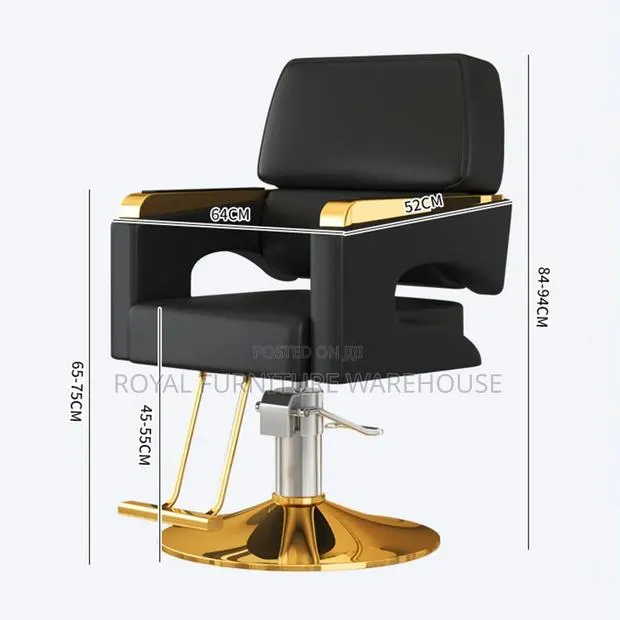 Elegant Salon Chair · Photo 2
