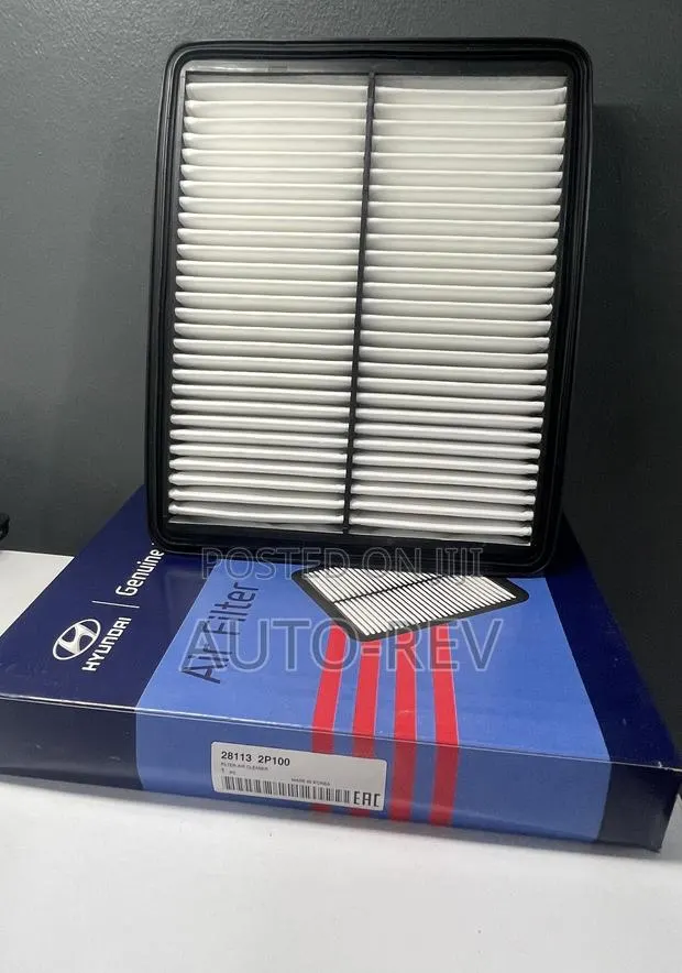 Hyundai Sonata/Optima Air Filter || 2P100 · Photo 1