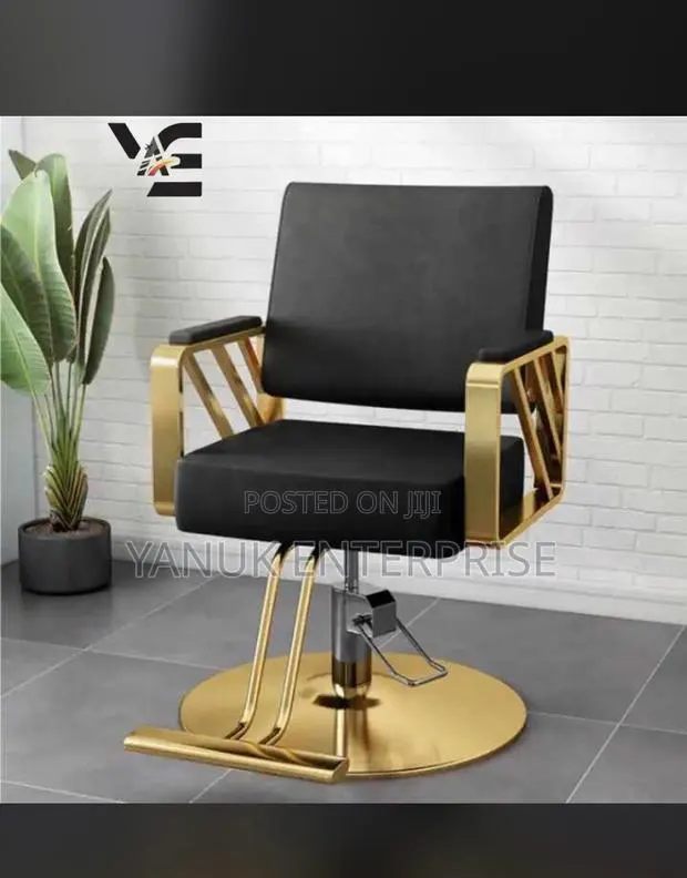 Salon Chair · Photo 1