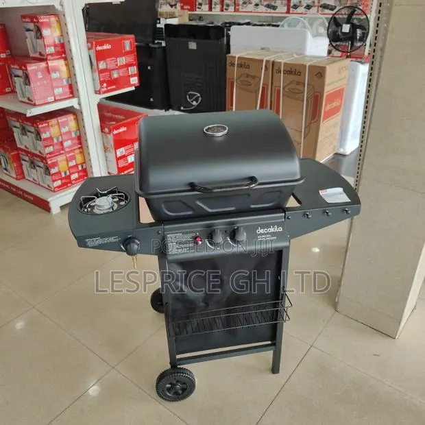 Enjoy Great Quality 2 Burner Gas BBQ Grill at an Amazing Price · Photo 1