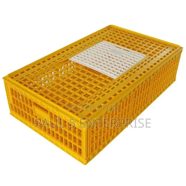Big Size Transport Basket · Photo 1