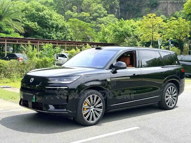 Denza N9 2.0 Hybrid AWD 2025 Black · Photo 1