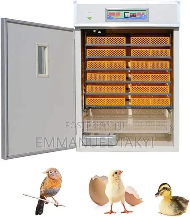 Egg Incubator · Photo 1