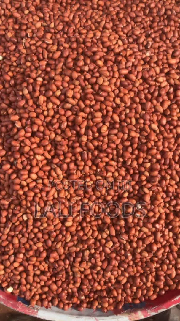Fresh Groundnut – High Grade (100kg Bag) · Photo 1