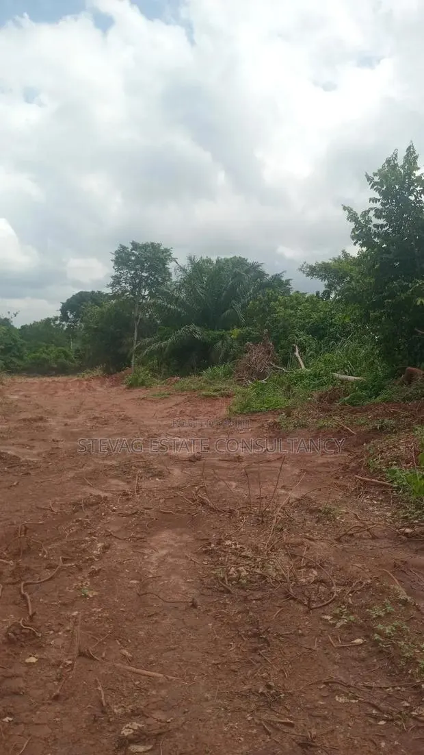Alpha Properties Estate Land for Sale at Kasoa Buduatta Odumase · Photo 1