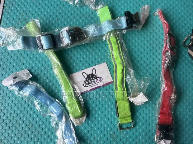 Trackable Collars · Photo 1