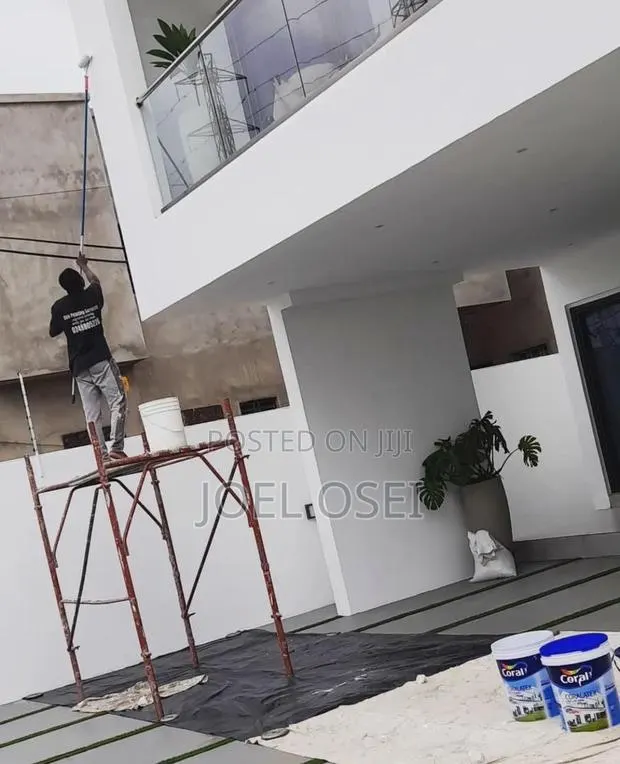 Professional Painter · Photo 1