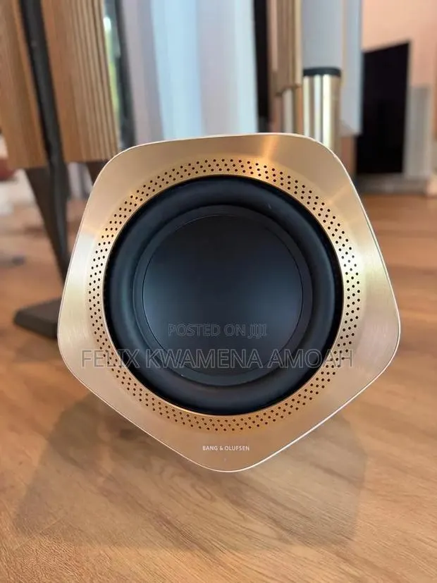 Bang Olufsen Beolab 19 Subwoofer · Photo 1