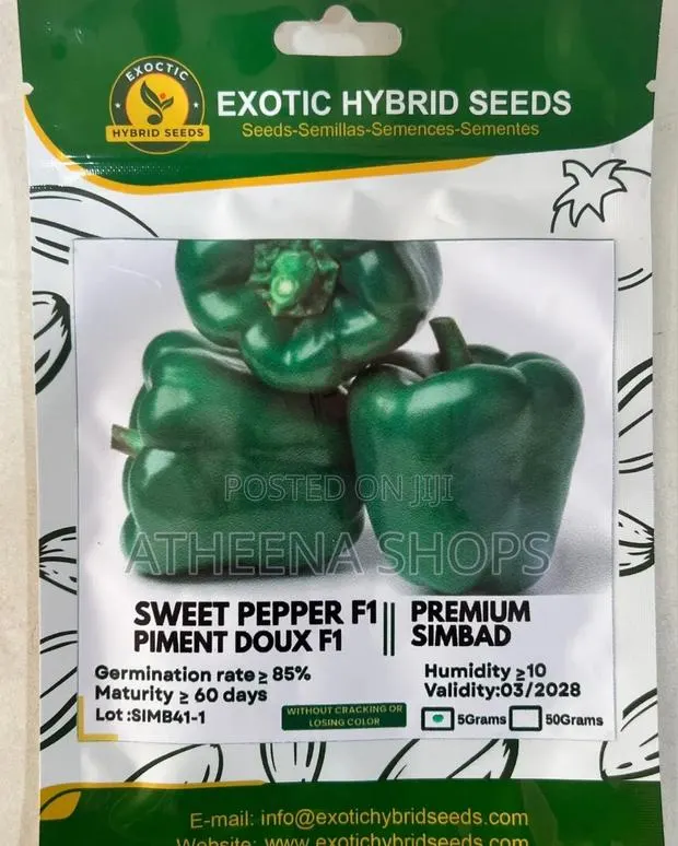 Simbad Bell Pepper Seeds for Farmers. (F1 (50 Grams) · Photo 3