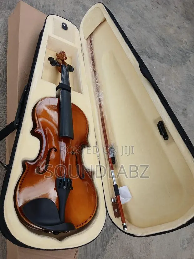 Professional Violin · Photo 1