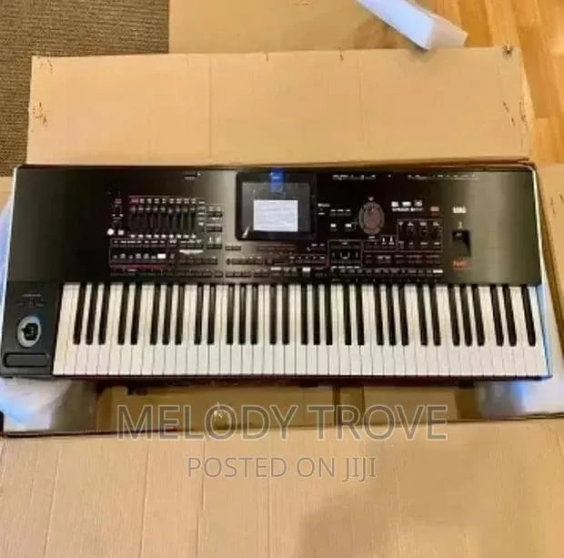 Korg Pa 700 61-Key Arranger Workstation · Photo 1