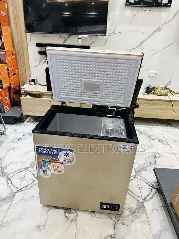 Spectacular Performance Chestgood Single Door Freezer Nasco Bas-175fl · Photo 1