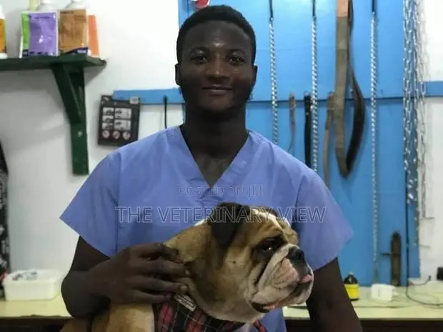 Veterinary Services · Photo 1