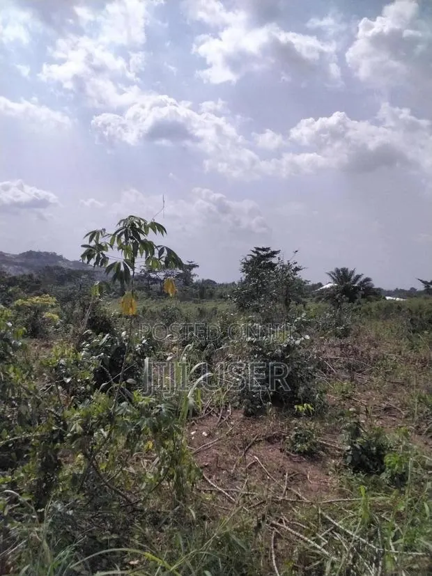 Acres of Farmland at Barekese for Sale · Photo 1
