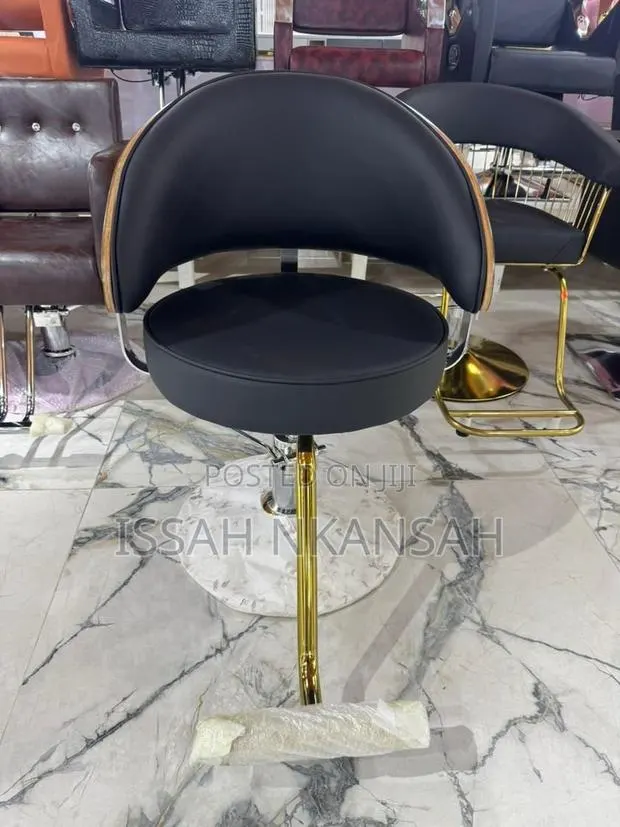 Salon Chair · Photo 3